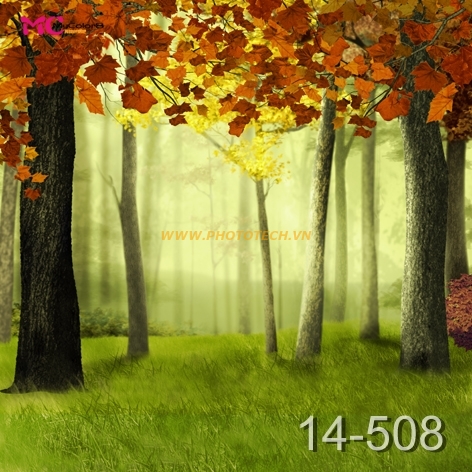 14 - 508
