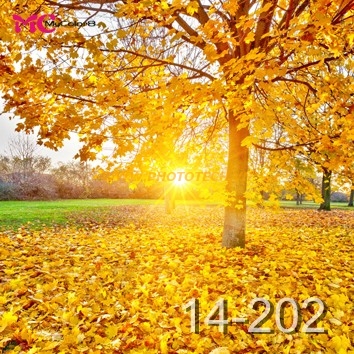 14 - 202