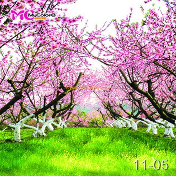 11 - 05