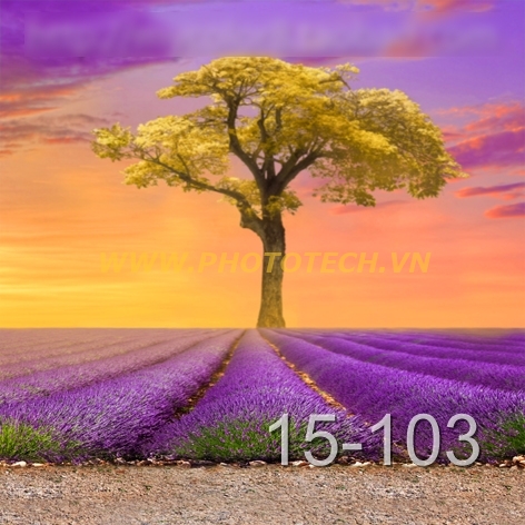 15-103