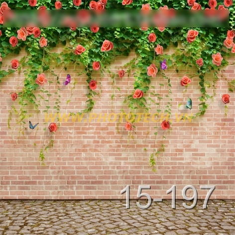 15-197