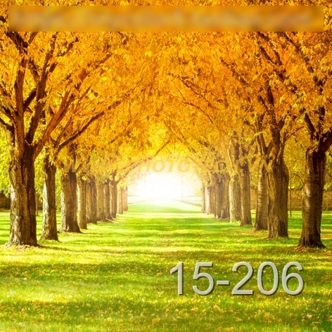 15-206