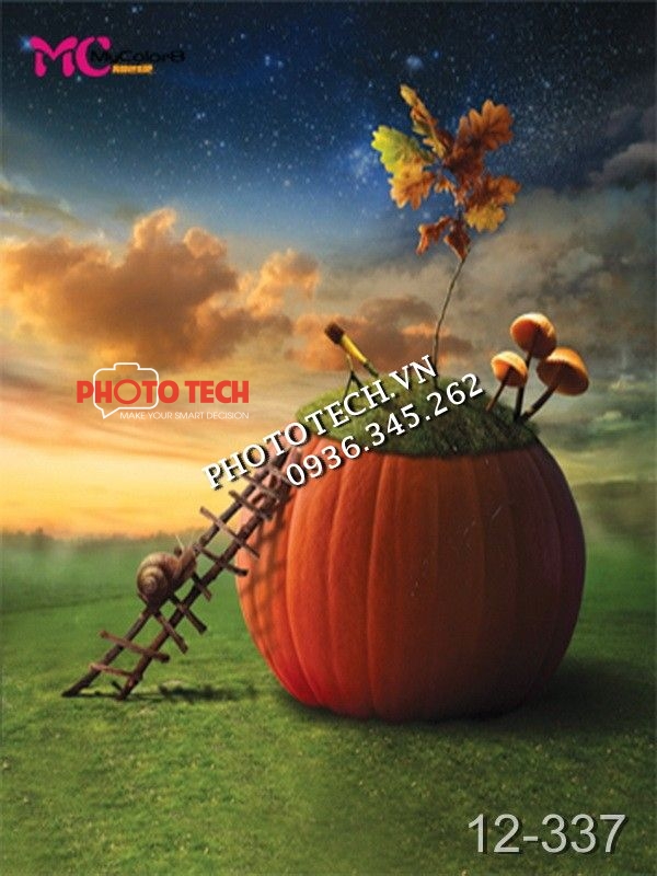 12-337_phong-nen-chup-anh-ky-thuat-so-3d-gia-re-phototech.vn