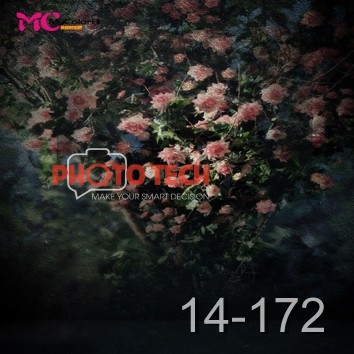 14-172