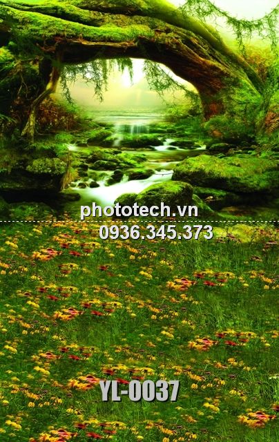 YL-0037-phototech.vn