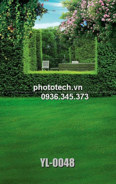 YL-0048-phototech.vn