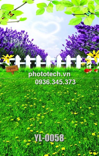 YL-0058-phototech.vn