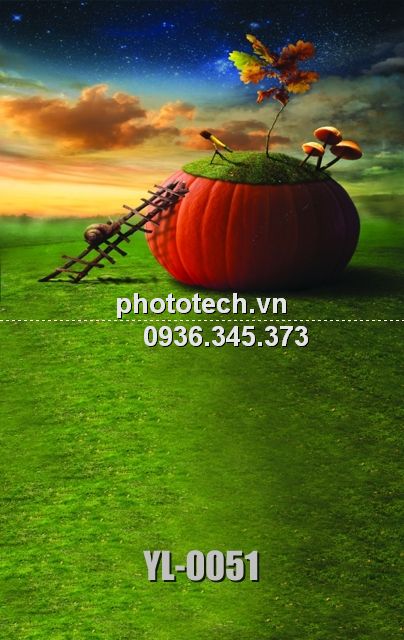 YL-0051-phototech.vn