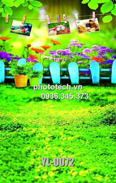 YL-0072-phototech.vn