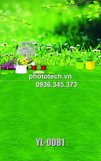 YL-0081-phototech.vn