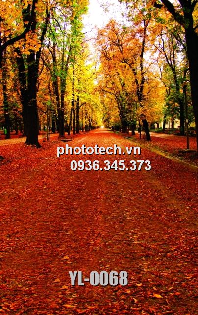 YL-0068-phototech.vn