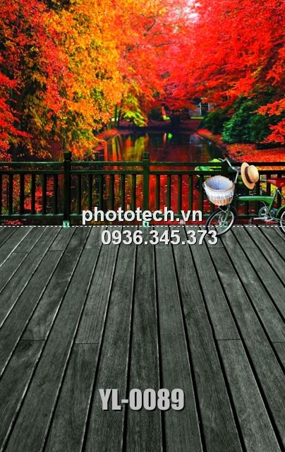 YL-0089-phototech.vn