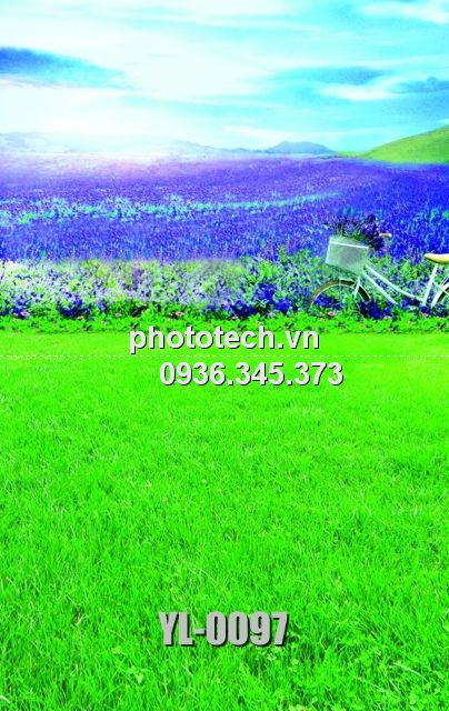 YL-0097-phototech.vn