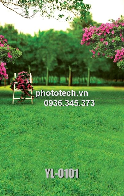 YL-0101-phototech.vn