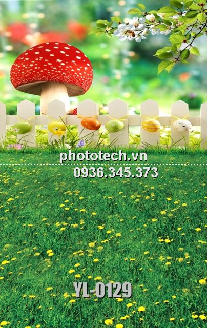 YL-0129-phototech.vn