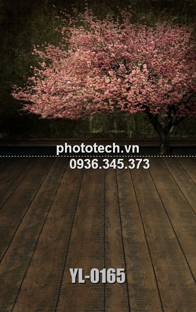 YL-0165-phototech.vn