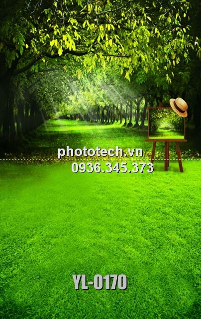 YL-0170-phototech.vn