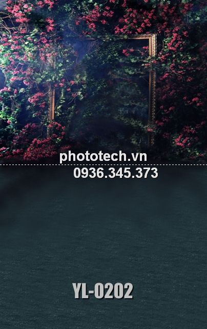 YL-0202-phototech.vn