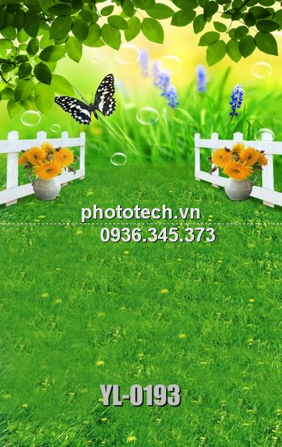 YL-0193-phototech.vn