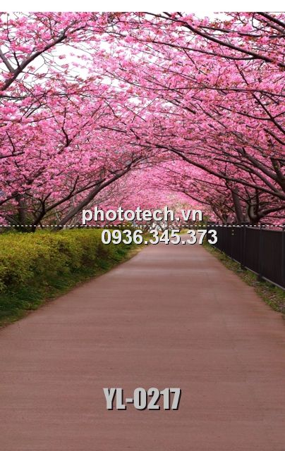YL-0217-phototech.vn