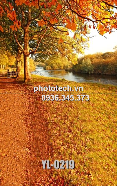 YL-0219-phototech.vn