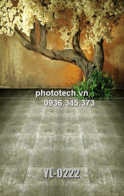 YL-0222-phototech.vn
