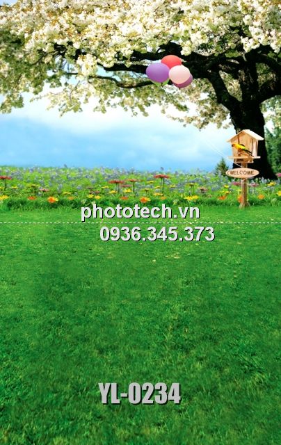 YL-0234-phototech.vn