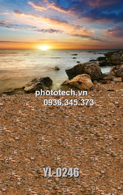 YL-0246-phototech.vn