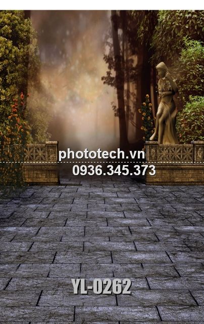 YL-0262-phototech.vn