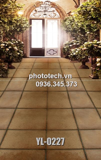 YL-0227-phototech.vn