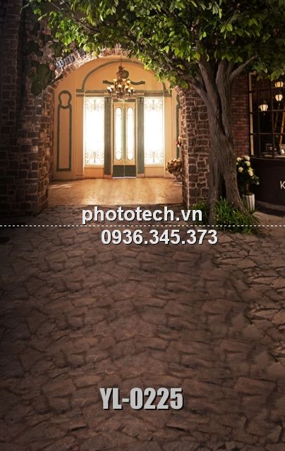 YL-0225-phototech.vn