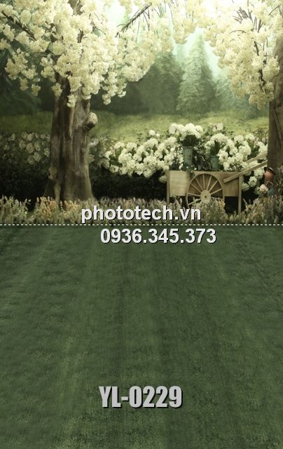 YL-0229-phototech.vn