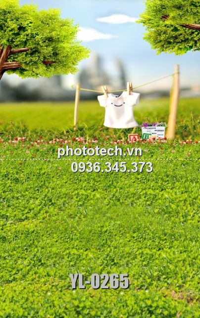 YL-0265-phototech.vn