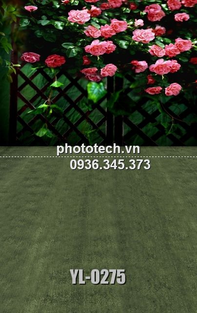 YL-0275-phototech.vn