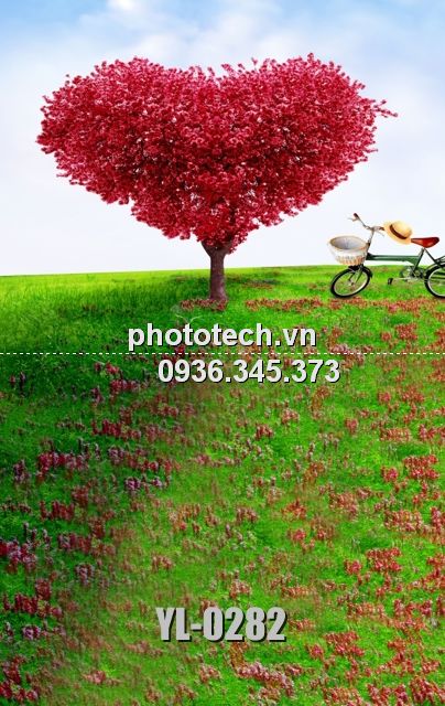 YL-0282-phototech.vn