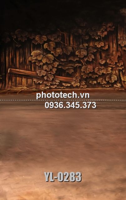 YL-0283-phototech.vn