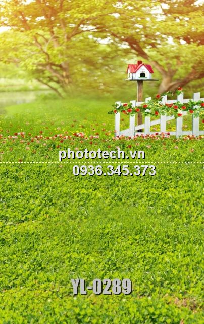 YL-0289-phototech.vn