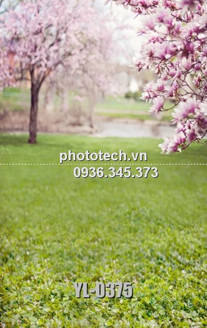 YL-0375-phototech.vn