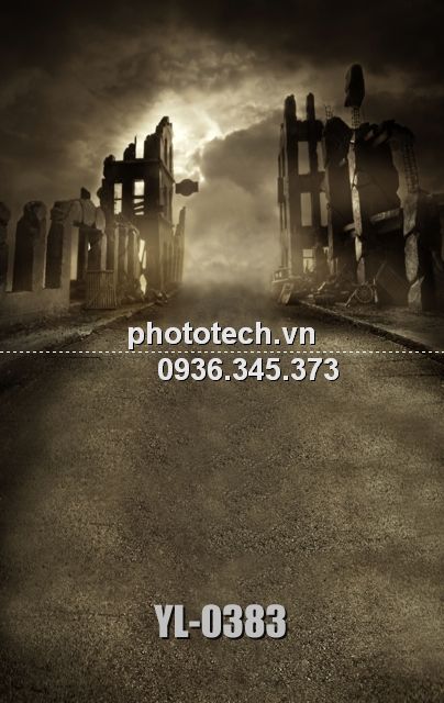 YL-0383-phototech.vn