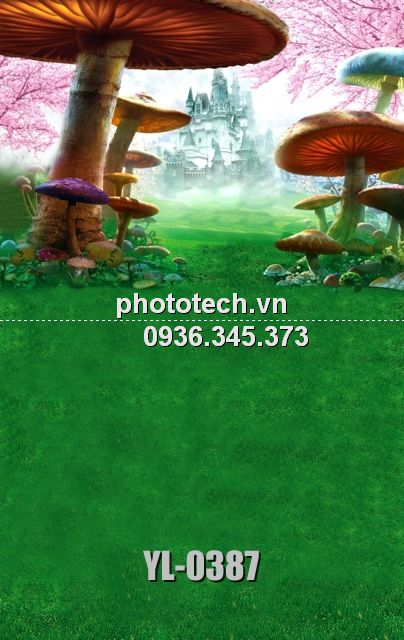 YL-0387-phototech.vn