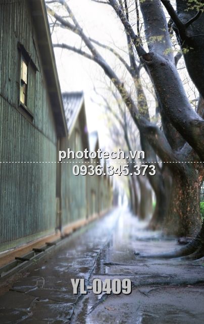 YL-0409-phototech.vn