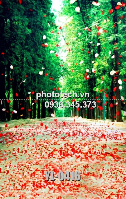 YL-0416-phototech.vn
