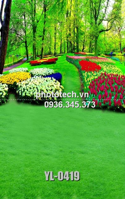 YL-0419-phototech.vn