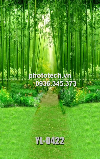 YL-0422-phototech.vn