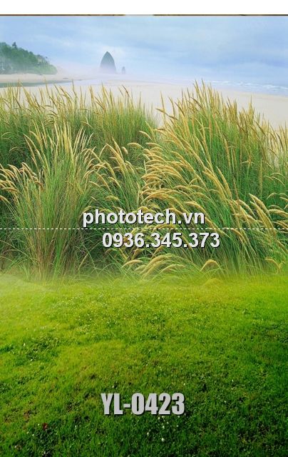 YL-0423-phototech.vn