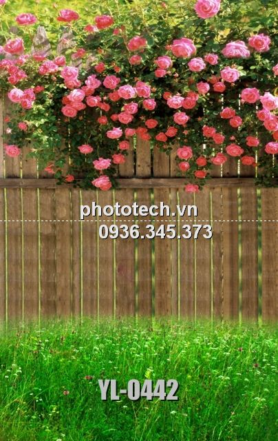 YL-0442-phototech.vn