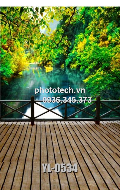 YL-0534-phototech.vn