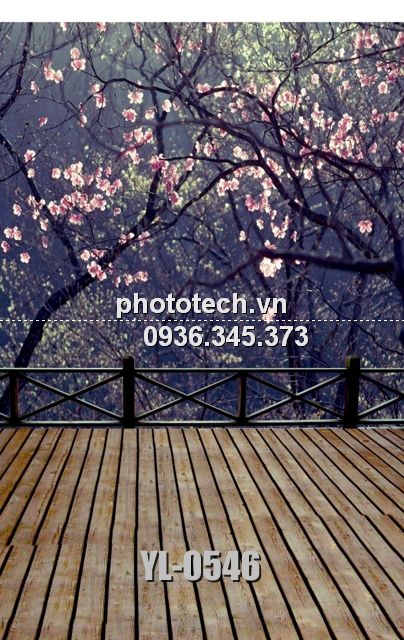 YL-0546-phototech.vn