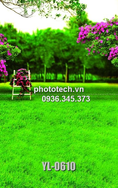 YL-0610-phototech.vn