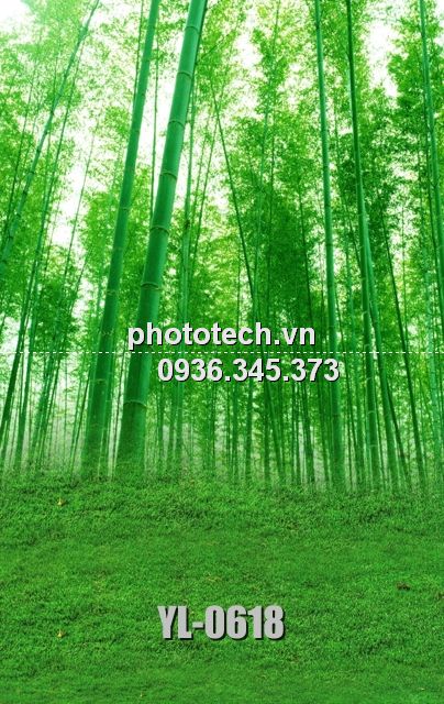 YL-0618-phototech.vn